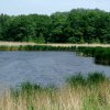 Tour 5: Krumminer Wieck